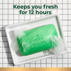  12 Bars  Irish Spring Bar Soap For Men  Original Clean Mens Bar Soap  3 7 Oz