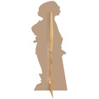 Cassandra Tangled  The Series Cardboard Cutout Standup Standee Poster Free Ship