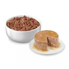 Purina Friskies Tasty Treasures Prime Fish  Wet Cat Food 5 5oz Cans 24ct