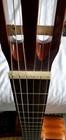 Takamine Classical Nylon-string Acoustic-electric Guitar Natural Tp-4t Preamp