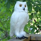 Realistic Feathered Owl Figurine Lifelike Bird Replica Simulation Wild Animal   