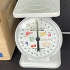 Vtg Metal American Family Scale 25lb   Orig Box White  2  j8865 Farmhouse Canning