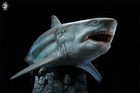 W-dragon The Meg 1 35 Wild Animal Shark Model Gk Statue New In Stock