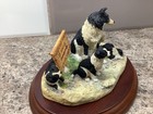 Border Fine Arts Families Welcome Bo181 Collie Dog And Pups 