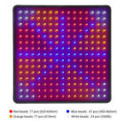 8500w Led Grow Light Panel Full Spectrum Lamp For Indoor Plant Veg Flower New Us