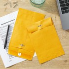Kraft Clasp Envelopes  6 In X 9 In  25 Count