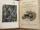 Very Rare  dialogues On Dogs  Illus Dog Book By Clara Hall 1st C1805 72 Pages