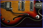 Japanese Hollowbody Guitar Tremolo Arm  type  c     Mounting Hardware Ezpz Parts