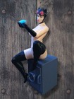 Catwoman Nsfw Figure 1 6 Scale Painted   Assembled