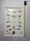 Vintage 1986 Smokey The Bear Poster 20   x30    As Pictured Bugs Insects Dragonfly