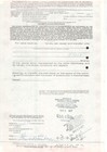 International Telephone   Telegraph - Original Stock Certificate - 1977 - Pk1172