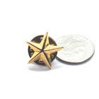 Vintage Star Pin Five Point Raised Star Emblem Retro Western Inspired Flair