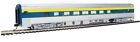 New Walthers 85 Budd Largewindow Delaware   Hudson Pass Car Ho Free Us Ship