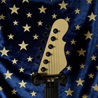 Jerry Cantrell Rampage Vintage Pin-up Blue Dress Electric Guitar Floyd Rose