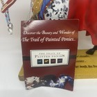 Trail Of Painted Ponies Runs The Bitterroot 12280 Appaloosa Native Horse Resin
