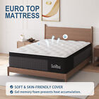 Duchessz 12  Twin Full Queen King Mattress In A Box Hybrid Spring Memory Foam