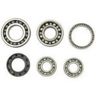 Hot Rods Transmission Bearing Kit For Honda Sportrax 250 2x4 01-08
