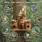 Bird Houses For Outside  Wooden 6 Hole Bird House Room For Multiple Birds  Outdo