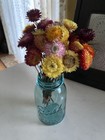 Beautiful Strawflowers Assorted Bunch Bouquet Bundle Dried Flowers Usa Auc 4