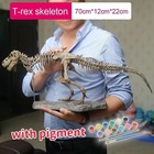 Animal Model T Rex Tyrannosaurus Rex Skeleton Dinosaur Toy Collector Decor Gift