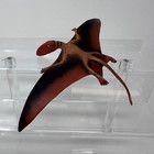 Safari Ltd Dimorphodon Figure Wildlife Prehistoric Dinosaur Figurine 2013 8 5 