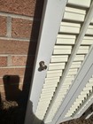 Vintage Louvered Wood Plantation Shutters White 36 x 14 1 8        36 x 15 3 8 