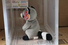 Ty 2 0 Beanie Baby Ricky The Racoon-6 -used-2009-no 2 0 Tag code-nice Gift