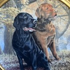 Lovely Pair Of  Labrador Plates    lifelong Companions         like Father Like Son   