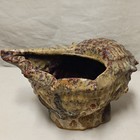 Euc Mcm Vintage Majolica Ceramic Conch Shell Planter 0784 Beautiful Rare