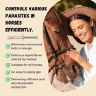 3 Pack Apple Flavor Horse Dewormer Paste Boxed Wormer Exp 01 2028  New