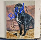 Original Oil Painting Pet Portrait 9  12 Inches  Cute Dog  Custom Work From Photo
