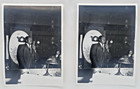 Elvin Jones  9 Photos  3 Are Doubles  Thad Jones With Orchestra   5   X 7  