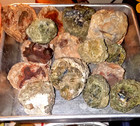 Each 10lb Stock Lot Oregon Rough 8-12 Thunderegg Halves Lapidary Old Stock Slab