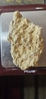 Craticularia Paradoxa Fossil Sponge - Jurassic Oxfordian - Zalas Quarry  Poland