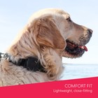 Gps Tracker For Dogs    Waterproof   Unlimited Range   Ubee Ranger