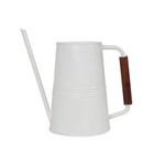  1-gallon Metal Watering Can  White