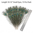 Lamar 15 Pcs Peacock Feathers 10-12 In Medium Eyes Natural