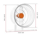 Hamster Wheel Silent Training Height Adjustable Clear Acrylic Stable Durable