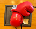 Muhammad Ali Signed Everlast Boxing Gloves W  Coa   Display Case The Score Board