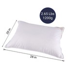 Organic Club Sheep Wool Pillow In Cotton Cover Standard Bed Pillow 20x28