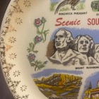 Vintage Scenic Decorative Souvenir South Dakota State Plate