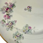 Vintage Tk Thun Czechoslovakia Porcelain China Dinnerware Set 19pc Plates Bowls