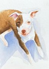 Original Custom Aceo Hand Painted Watercolor Pet Portraits