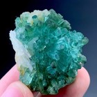 96 Carat Bunch Of Paraiba Tourmaline Crystal Specimen From Afghanistan