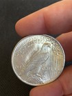 1923 P Peace Dollar  90  Silver Beautiful High Grade Fast Shipping 2