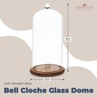 11 Inch Cloche Glass Dome With Base For Plants  Food  And Candles