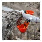 20 Pack Poultry Water Drinking Cups Chicken Hen Automatic Drinker Plastic Feeder