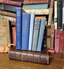 Lot Of 5 Blue   Shades Of Blue Old Vintage Antique Rare Hardcover Random Books