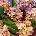 10 Short Stem Faux Hydrangeas