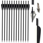 12pcs 20  Carbon Crossbow Bolts Arrow  12pcs Archery 100 Grain Arrowhead Hunting
